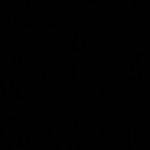 Meet your Posher, Mitzy